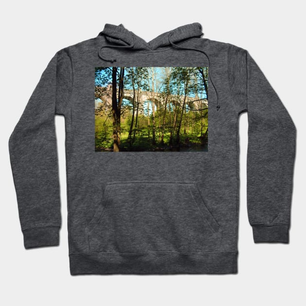 Avon Aqueduct II Hoodie by tomg